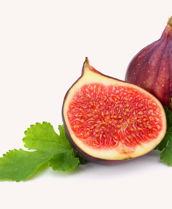 Figs - Image 3