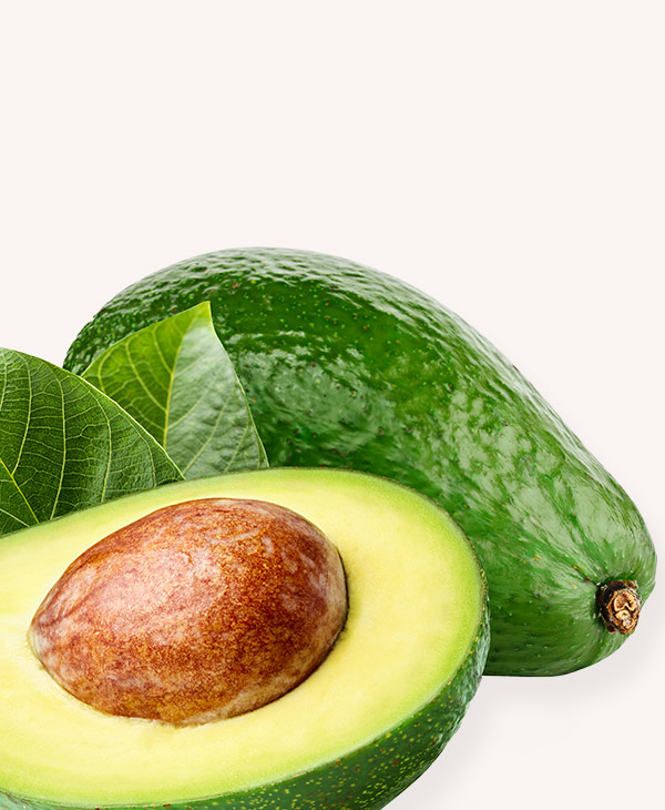 Avocados - Image 2