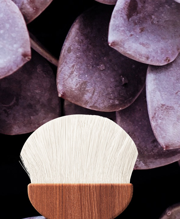 Brush - Image 4